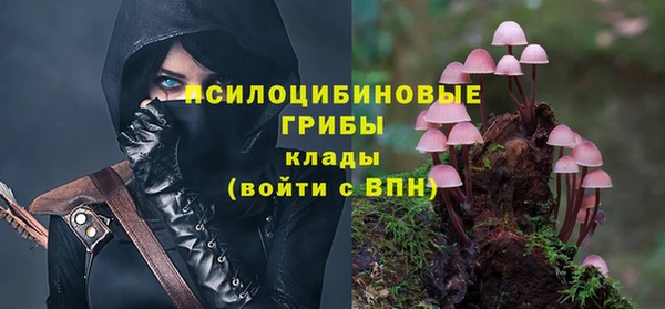 дживик Алексеевка