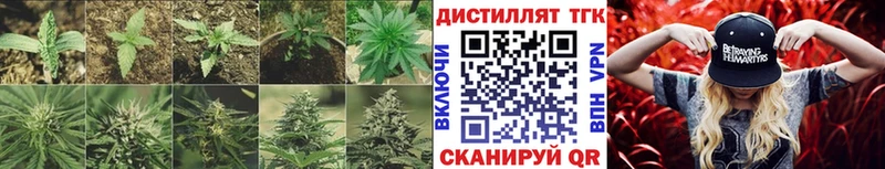 Дистиллят ТГК концентрат  купить  сайты  Тайшет 