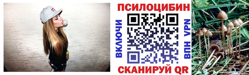 где найти   Тайшет  Псилоцибиновые грибы мицелий 