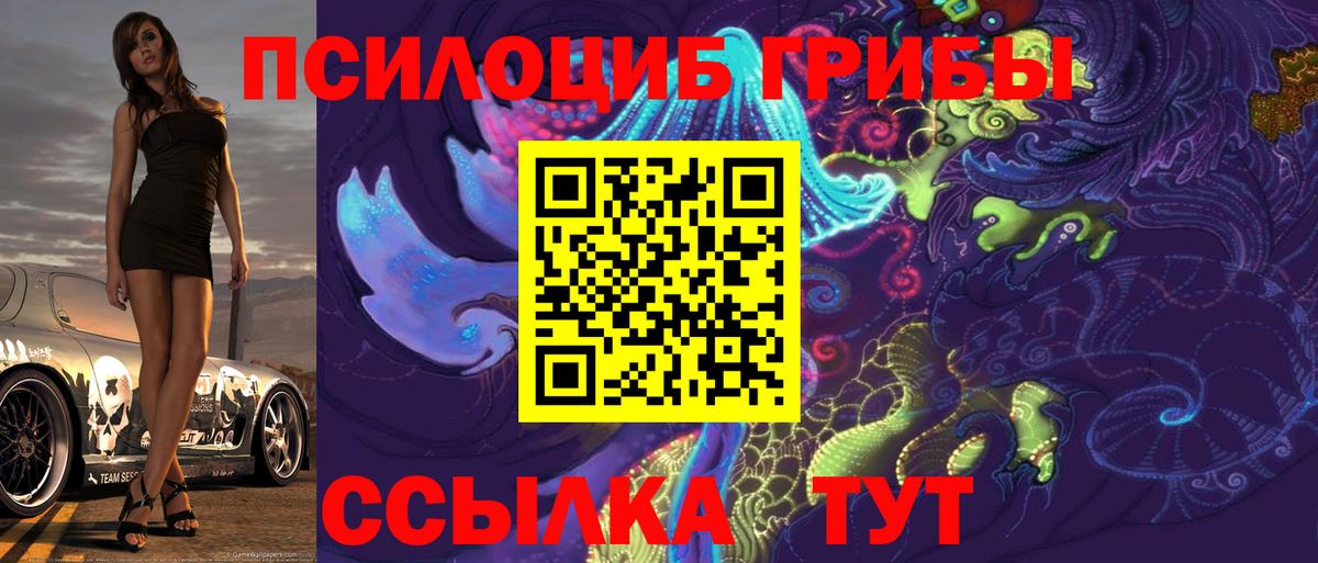 Тайшет  Галлюциногенные грибы ЛСД  наркотики  Вход с VPN 